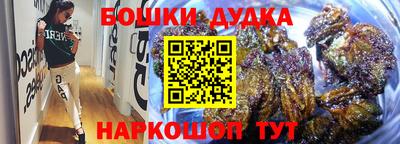 скорость Дубна