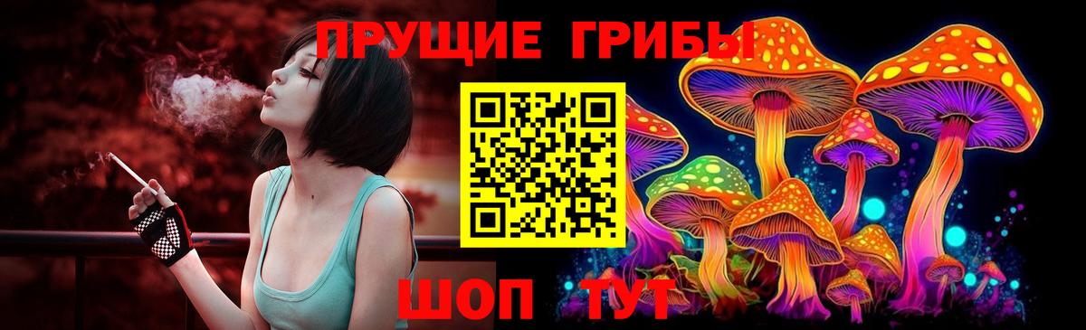 дарнет шоп  Псилоцибиновые грибы Psilocybe  Вход с VPN  Кумертау 